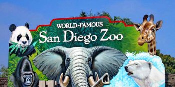 圣地亚哥动物园 / San Diego Zoo