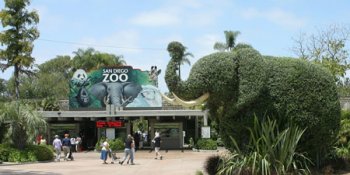 サンディエゴ動物園 / San Diego Zoo