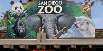 San Diego Zoo