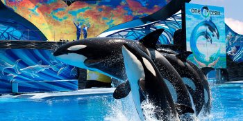 海洋世界 / SeaWorld San Diego