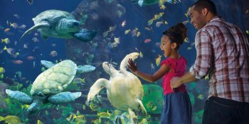 SeaWorld San Diego