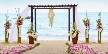 Weddings