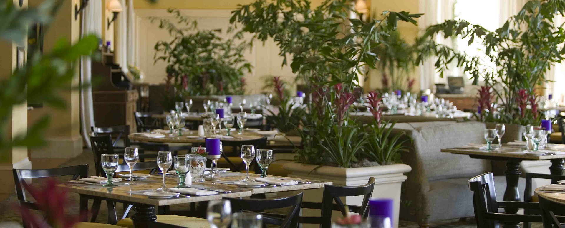 Monarch Beach Resort - Dining