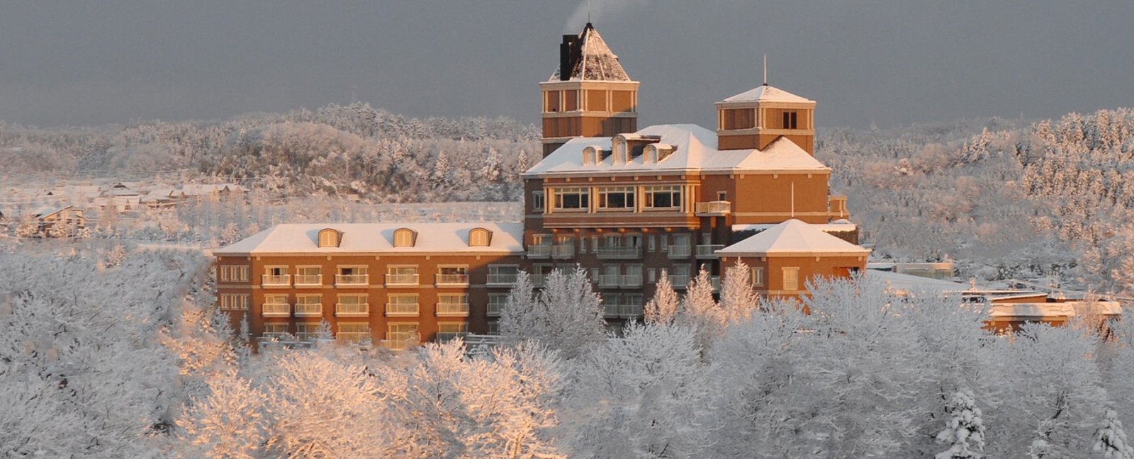 Royal Park Hotel Sendai - winter