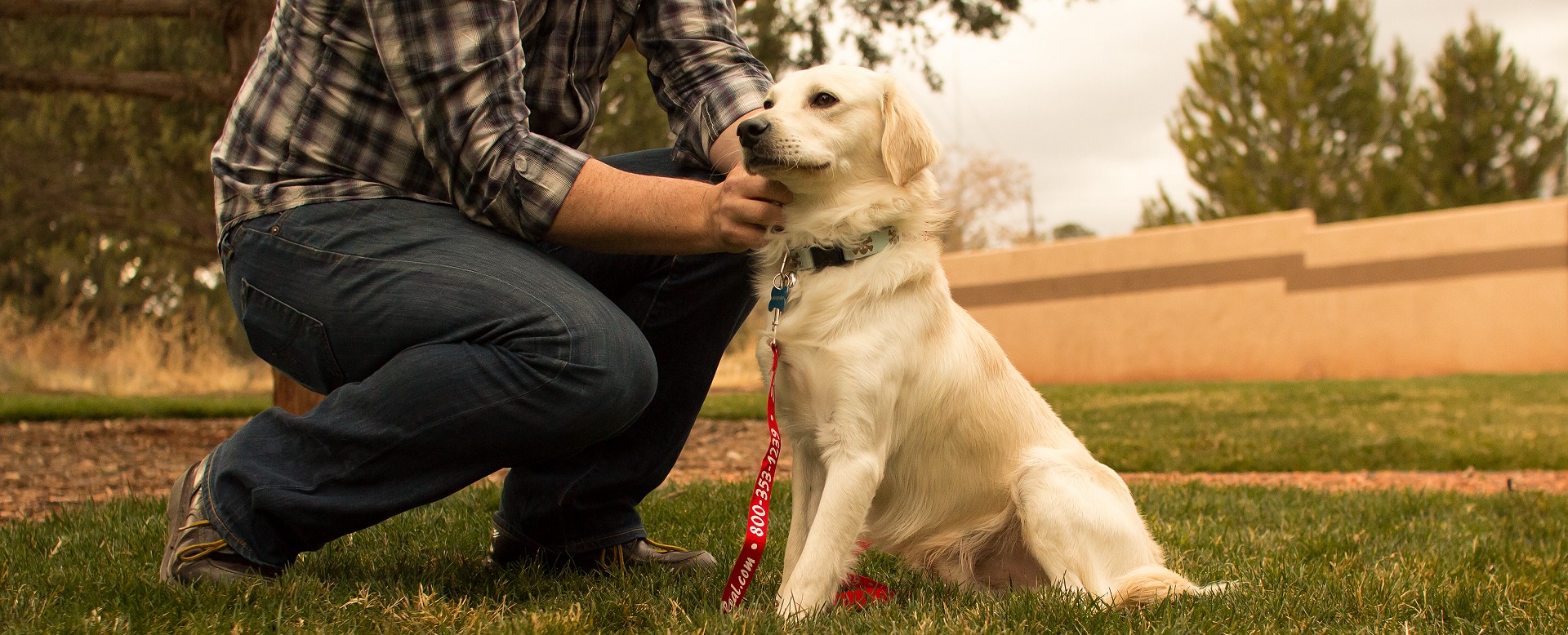 Sedona Real Inn & Suites - pet friendly hotel