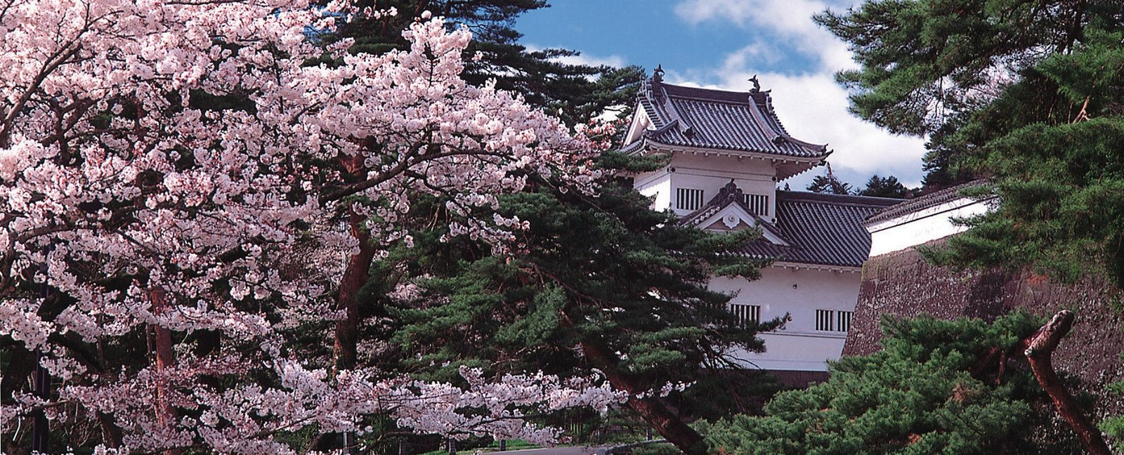 Sendai Castle in Spring