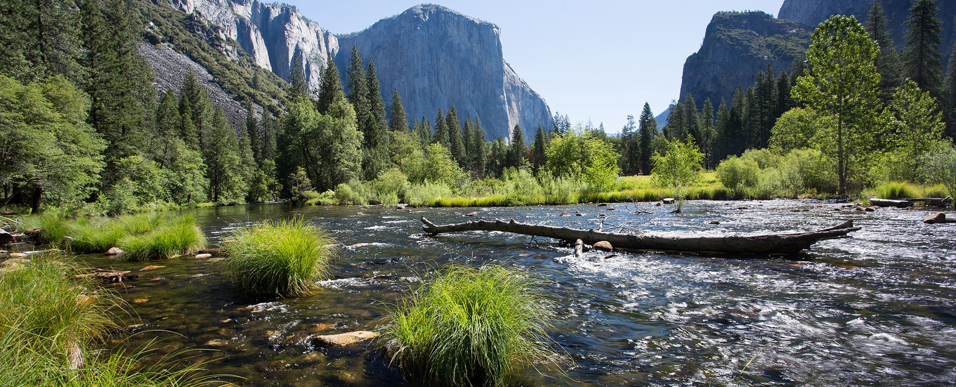 Yosemite River in Summer